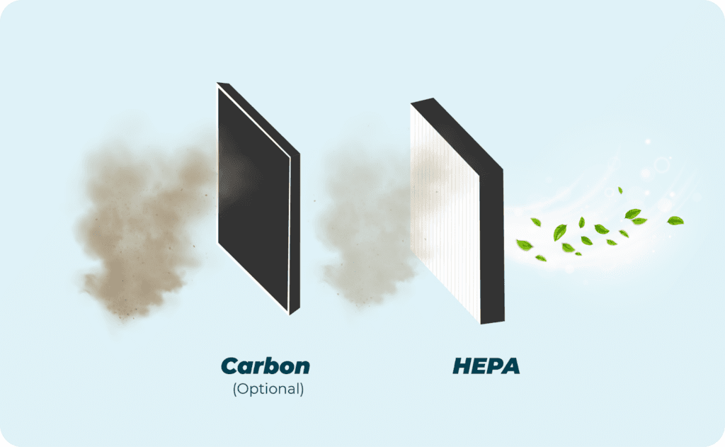 High-efficiency particulate air (HEPA) filters in your HVAC system against allergy.